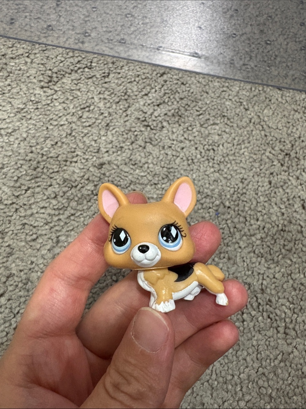 LITTLEST PET SHOP CORGI